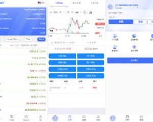 【区块链竞猜】白色区块链竞猜系统/虚拟币大小单双竞猜下注/USDT充值-汉城海外源码