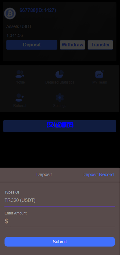 图片[8]-汉城海外/黑色区块链竞猜系统/虚拟币大小单双竞猜下注/USDT充值