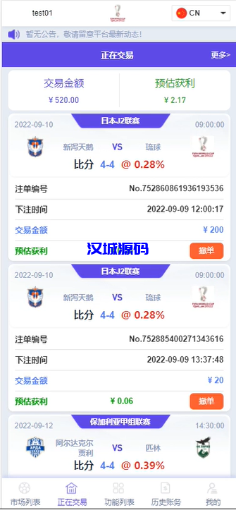 图片[5]-汉城海外/多语言JAVA反波胆/红利宝/进球乐+裂变+VIP+代理/全开源