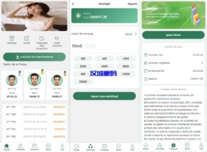 汉城海外/复杂模式刷单源码/分组控单/葡萄牙/西班牙/印度/土耳其/语言