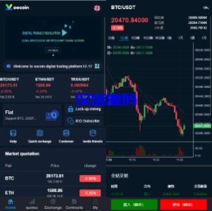 汉城海外/运营版多语言交易所源码/期权合约/锁仓质押理财/新币认购/币币交易/预生成k线/机器人