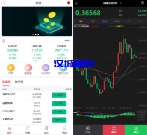 汉城海外/全新伪交易所系统/虚拟币期货外汇合约交易/微盘时间盘微交易源码