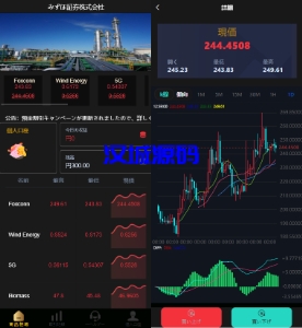 汉城海外/多语言微盘系统/日本微交易系统/时间盘系统