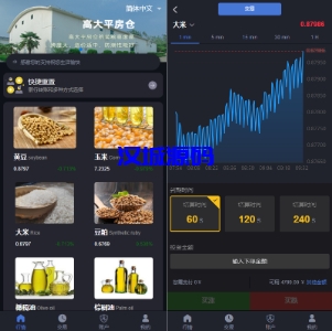 汉城海外/二开版微交易系统/粮食微盘系统/双语言微盘