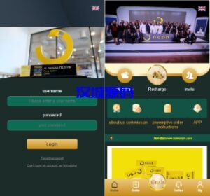 汉城海外/新版多语言刷单系统/刷单抢单源码/叠加组/订单自动匹配系统