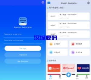 汉城海外/多语言抢单刷单系统/海外抢单商城/订单匹配源码/打针/前端vue