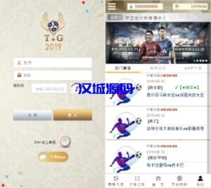 汉城海外/TG淘金网反波胆5.02版本系统源码