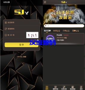 汉城海外/二开换皮TG淘金网反波胆5.02版本系统源码