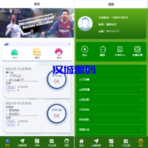 汉城海外/新版TG淘金网反波胆系统/usdt充值/双语言球盘/下注系统
