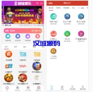 汉城海外/恒宣娱乐-包网程序-免买分包含余额宝功能内部账号等vue+js