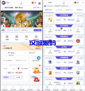 汉城海外/多语言JAVA反波胆/红利宝/进球乐+裂变+VIP+代理/全开源