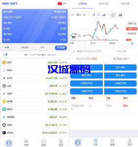 汉城海外/开源版海外双语言竞猜系统/虚拟币大小单双竞猜下注/USDT充值