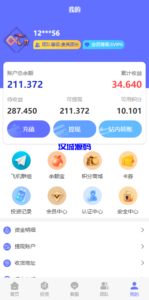 阿拉伯投资理财系统/海外投资众筹系统/前端vue-汉城海外源码