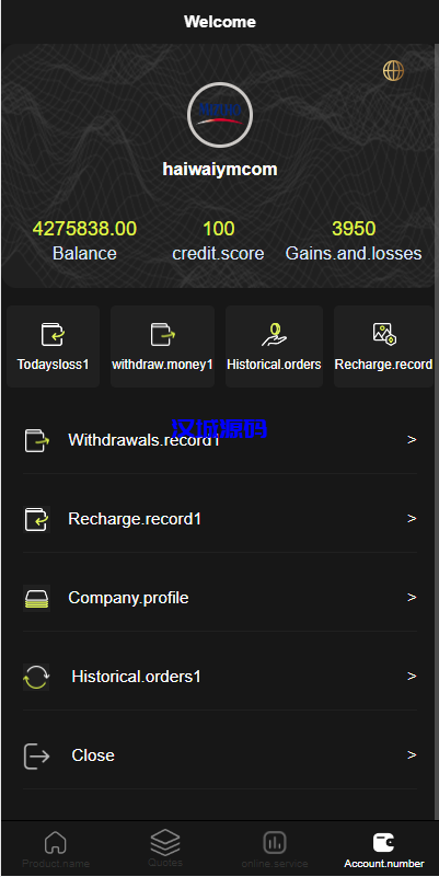 图片[11]-海外多语言微盘系统/外汇微交易源码/日本时间盘-汉城海外源码