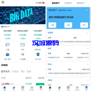 新版多语言交易所系统/虚拟币外汇交易/期权合约交易-汉城海外源码
