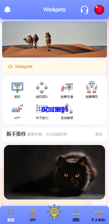 图片[3]-海外宠物投资理财系统/多语言投资源码/前端VUE源码-汉城海外源码