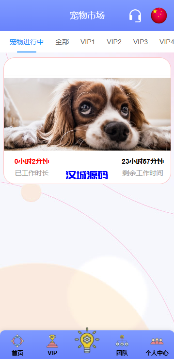 图片[7]-海外宠物投资理财系统/多语言投资源码/前端VUE源码-汉城海外源码