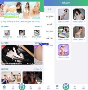 多语言同城空降任务/越南空降系统/系统彩/前端vue源码-汉城海外源码