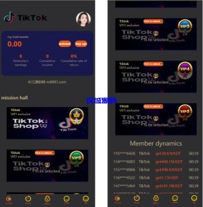 海外tiktok抢单刷单源码/假人/暗扣/余额宝/代理-汉城海外源码