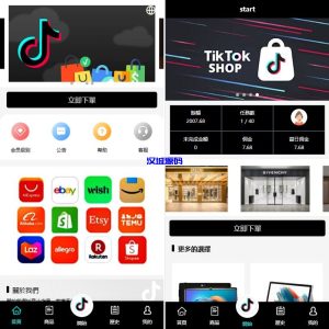 多语言tiktok抢单刷单系统/海外抢单系统/连单卡单-汉城海外源码