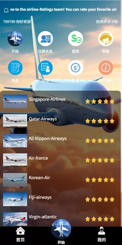 图片[3]-多语言国际航旅接单系统 / 海外飞行订单平台 / 提现管控+打针机制-汉城海外源码