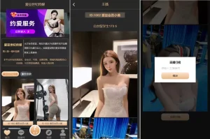 黑色空降系统/同城约炮任务/系统彩/前端VUE-汉城海外源码