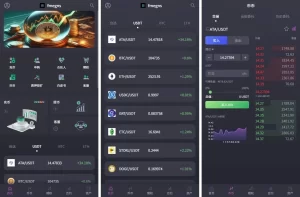 【海外交易所系统合约期权】质押/秒合约/插针控制/申购-汉城海外源码