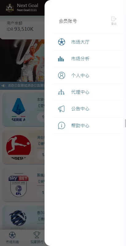 图片[15]-PC自适应反波胆系统/球盘源码/多级分销/充值返点-汉城海外源码