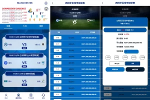 海外反波胆系统/多语言球盘源码/足球下注/三级分销-汉城海外源码