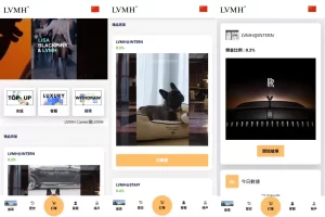 海外奢饰品刷单抢单系统/多语言刷单/打针/重置订单-汉城海外源码