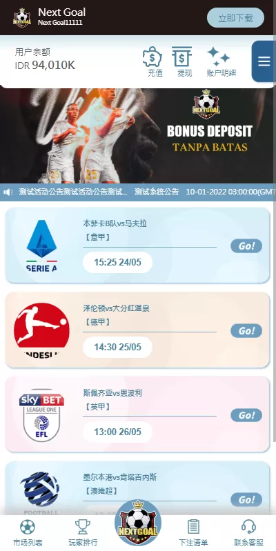 图片[9]-PC自适应反波胆系统/球盘源码/多级分销/充值返点-汉城海外源码