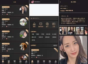 【海外多语言刷单VUE空降抢单源码】空降刷单抢单源码|信用分卡单重置订单等-汉城海外源码
