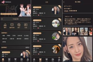 海外空降刷单系统$多语言刷单源码#日本空降抢单-汉城海外源码