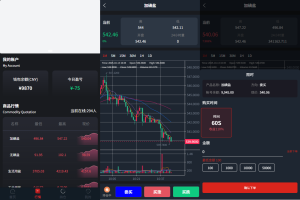 JAVA微盘系统/中盐微盘微交易%期货时间盘%前端uniapp-汉城海外源码