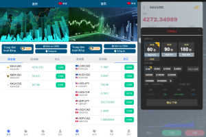 多语言微交易#贵金属外汇虚拟币微盘源码%越南时间盘-汉城海外源码