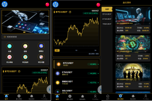 多语言虚拟币量化投资系统#海外币种投资#前端vue-汉城海外源码