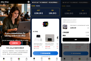 多语言eBay抢单刷单系统/40单任务快杀盘/连单卡单-汉城海外源码