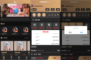 新版空降约炮系统/同城任务/系统彩预设/前后端VUE-汉城海外源码