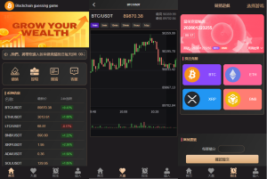 海外虚拟币竞猜投注/区块链竞猜游戏/开奖预设-汉城海外源码