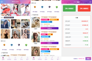 多语言空降秒合约系统/同城任务约炮/空降微交易-汉城海外源码