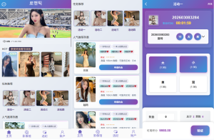 新UI多语言空降彩票/空降约炮/同城任务/系统彩-汉城海外源码