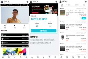 多语言商城抢单刷单系统/手动派单/爆单卡单-汉城海外源码
