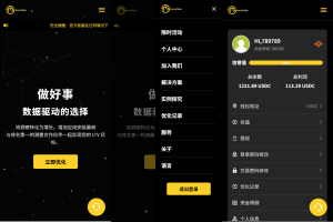 多语言APP优化抢单刷单/软件刷单系统/连单卡单/电脑自适应-汉城海外源码