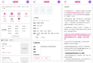 JAVA版同城楼凤系统/楼凤茶馆/信息发布/信息网-汉城海外源码