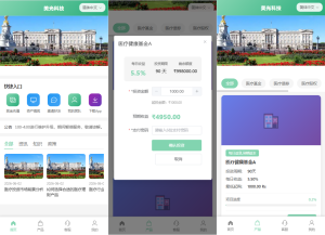 新版海外投资理财系统/医疗项目基金投资/贷款/余额宝-汉城海外源码