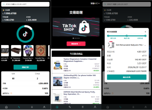 (TIKTOK抢单)海外TIKTOK抢单刷单#60关卡任务#金额打针#连单卡单-汉城海外源码