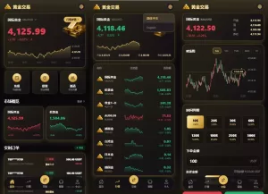 新版海外黄金微交易/黄金秒合约交易/黄金投资/前端VUE-汉城海外源码