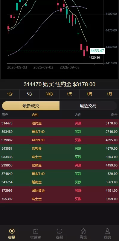 图片[7]-海外黄金秒合约交易/黄金时间盘/黄金微盘投资交易-汉城海外源码