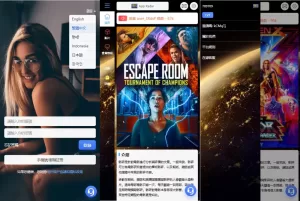 海外电影抢单刷单系统/连单卡单/充值返利/重置订单-汉城海外源码
